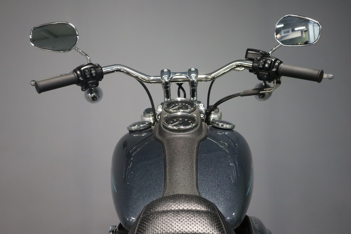 2015 Harley-Davidson Low Rider FXDL - Photo 9