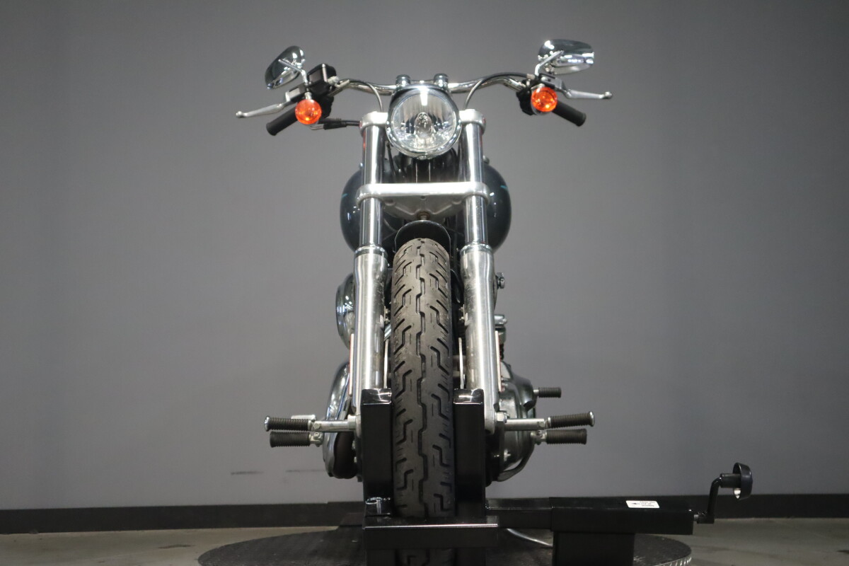 2015 Harley-Davidson Low Rider FXDL - Photo 3