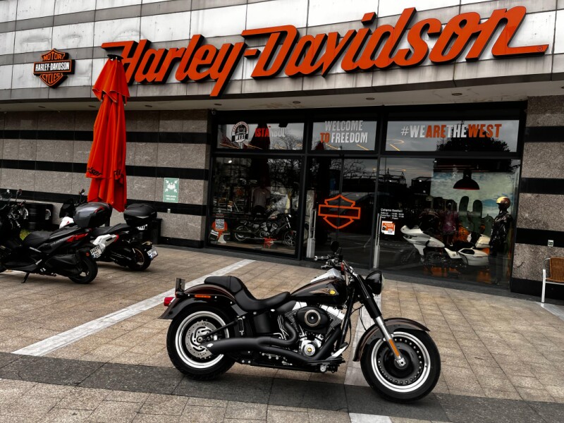 2013 Harley-Davidson<sup>®</sup> Fat Boy® Lo 110th Anniversary Edition Anniversary Vintage Bronze/An