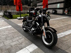2013 Harley-Davidson<sup>®</sup> Fat Boy® Lo 110th Anniversary Edition Anniversary Vintage Bronze/An thumb 2