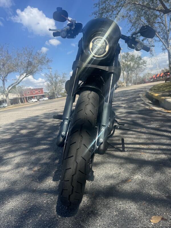 2025 Harley-Davidson Low Rider S - Photo 9