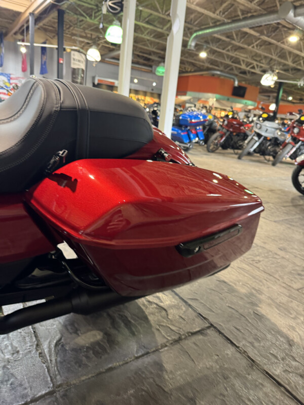 2025 Harley-Davidson Road Glide - Photo 10