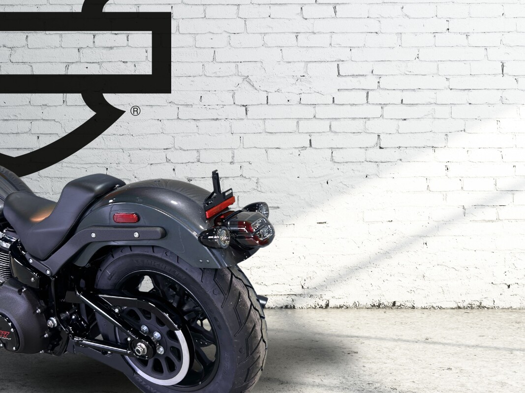 2025 Harley-Davidson Low Rider S Iron Horse Metallic - Photo 8