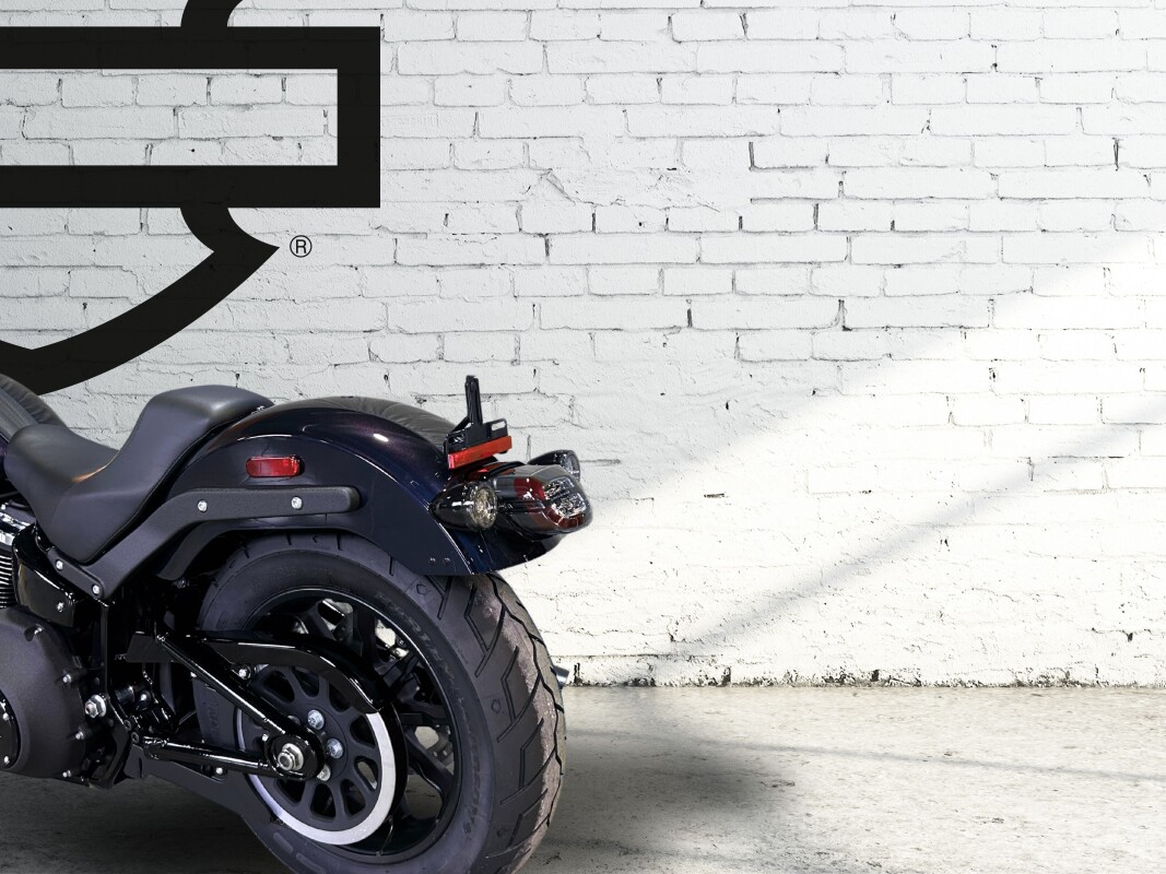 2025 Harley-Davidson Low Rider S Mystic Shift - Photo 8