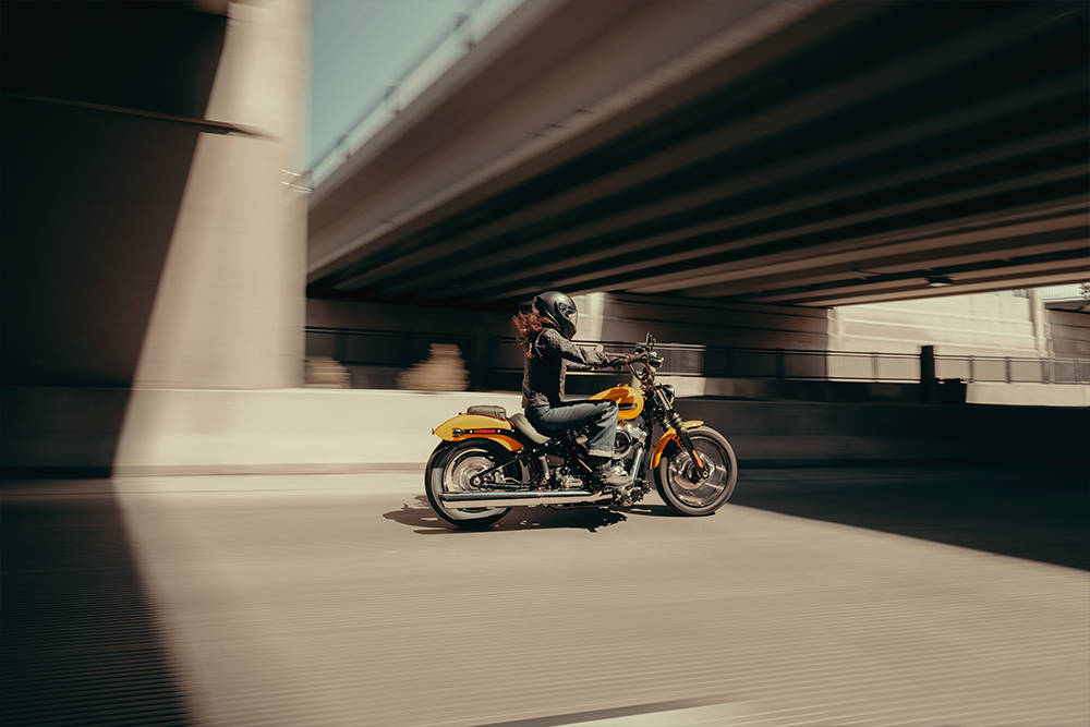 Street Bob