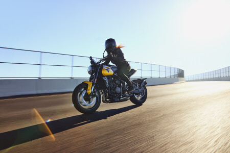 Which Bike Is Right for You? Everything You Need to Know Before Buying Your First Triumph Motorcycle