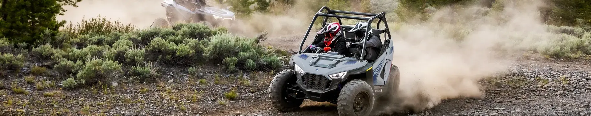 Polaris