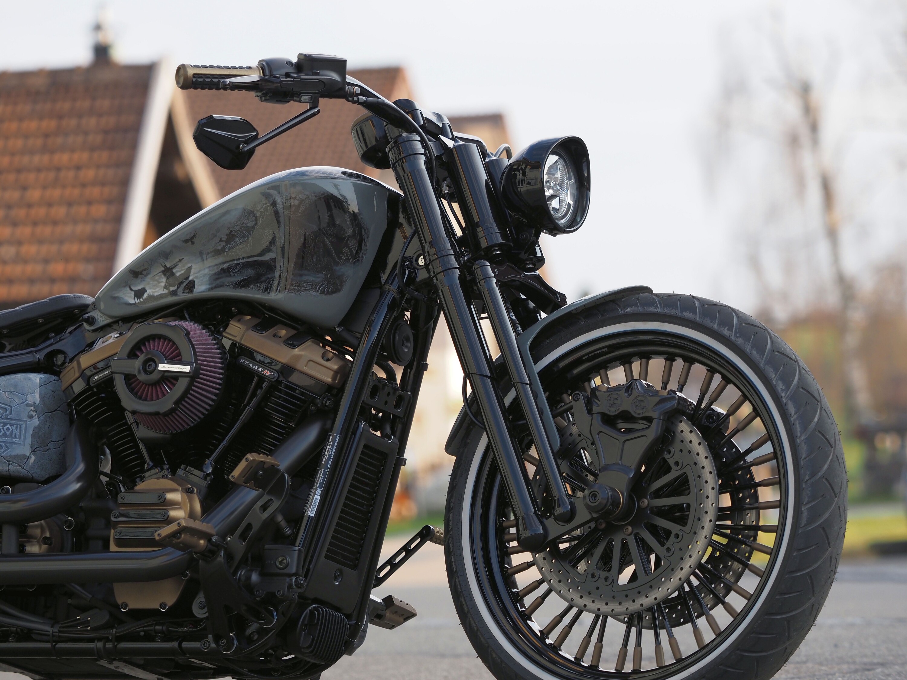 Softail The Eliminator