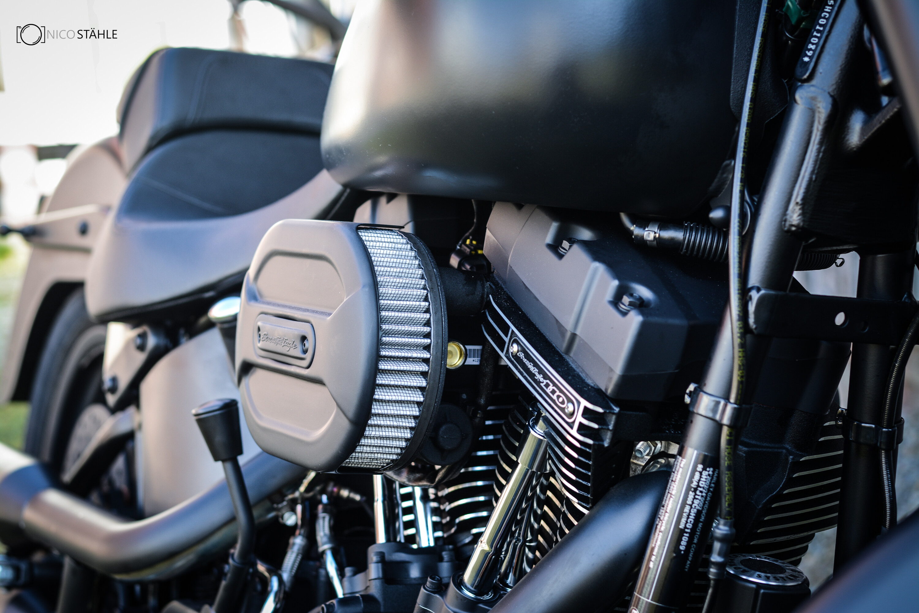 Softail Fat Boy Matt