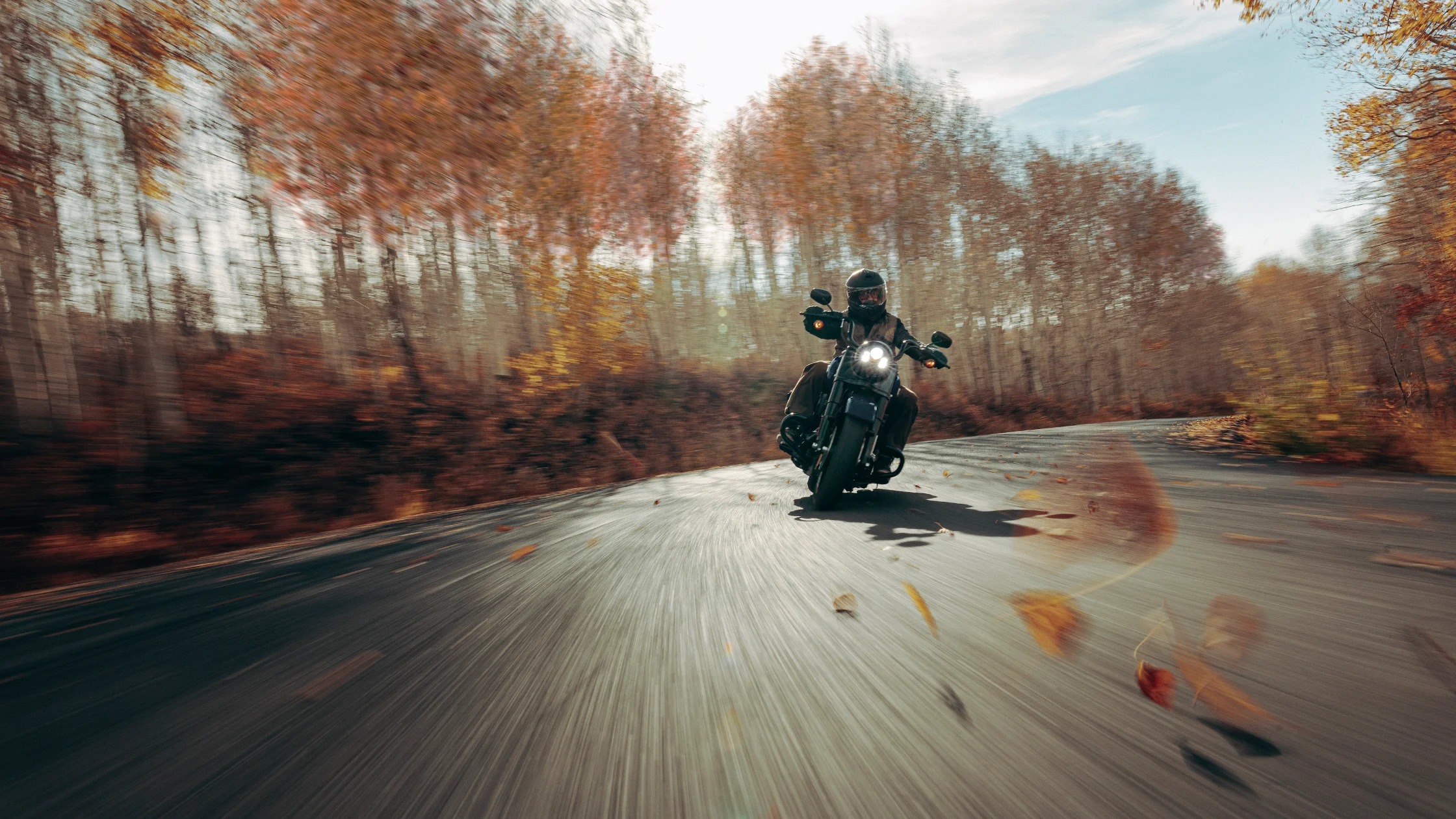 A motorcyclist leans into a turn on a winding autumn road, riding the 2025 Harley-Davidson® Road King® Special.