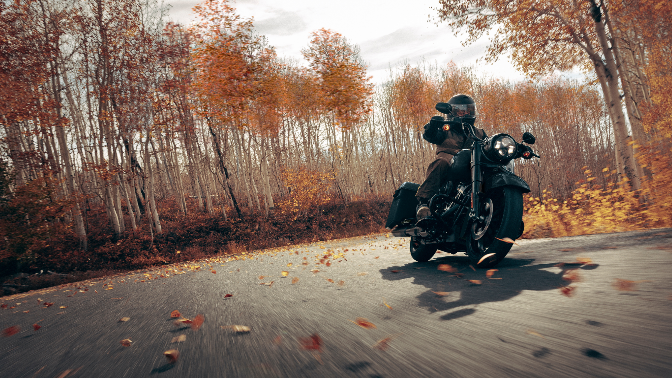 2025 Harley-Davidson® Road King® Special