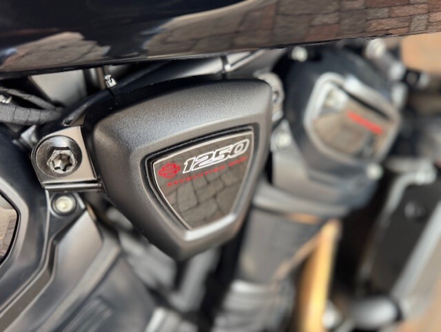 2025 Harley Davidson Pan America ST RA1250ST - Photo 2