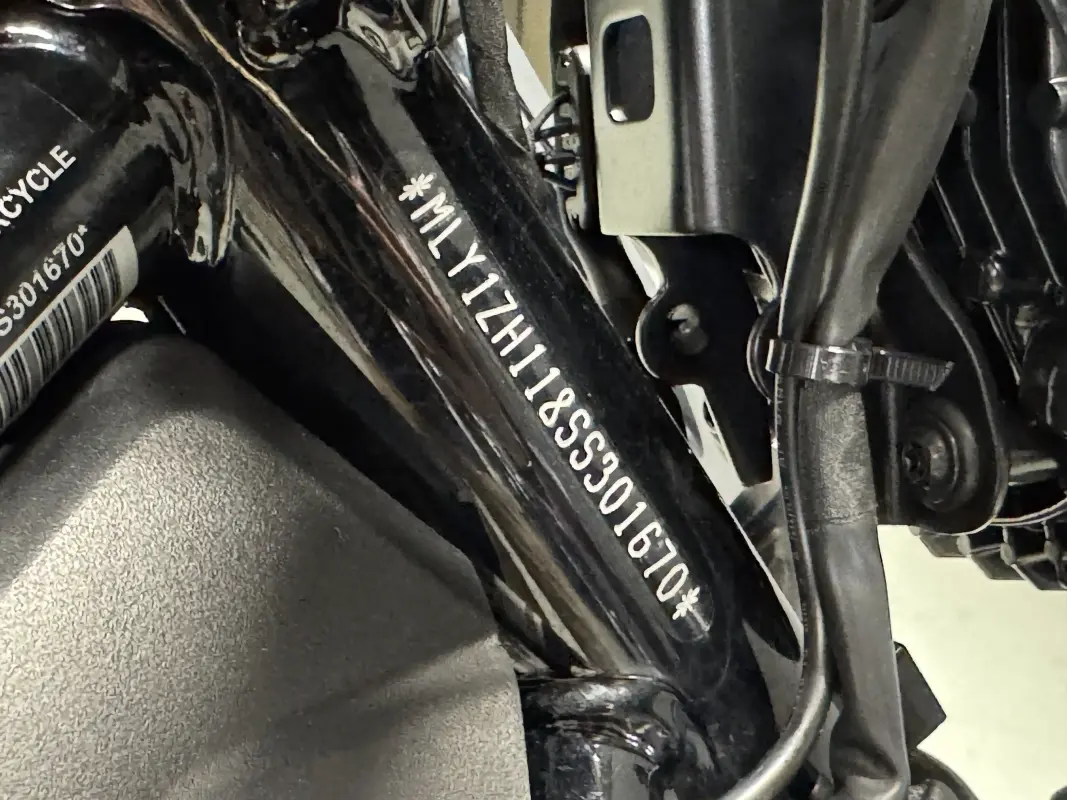 RH975 2025 Nightster - Photo 9