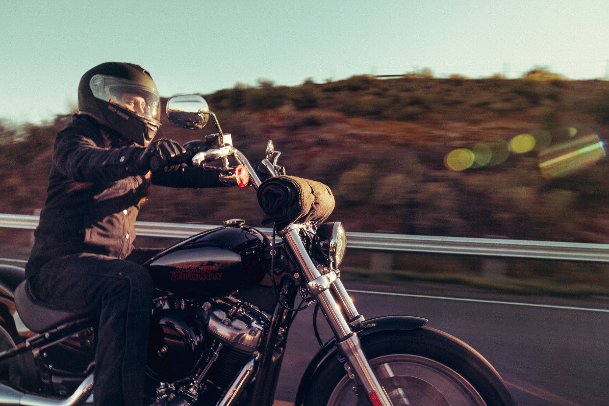 The Harley-Davidson Softail Standard