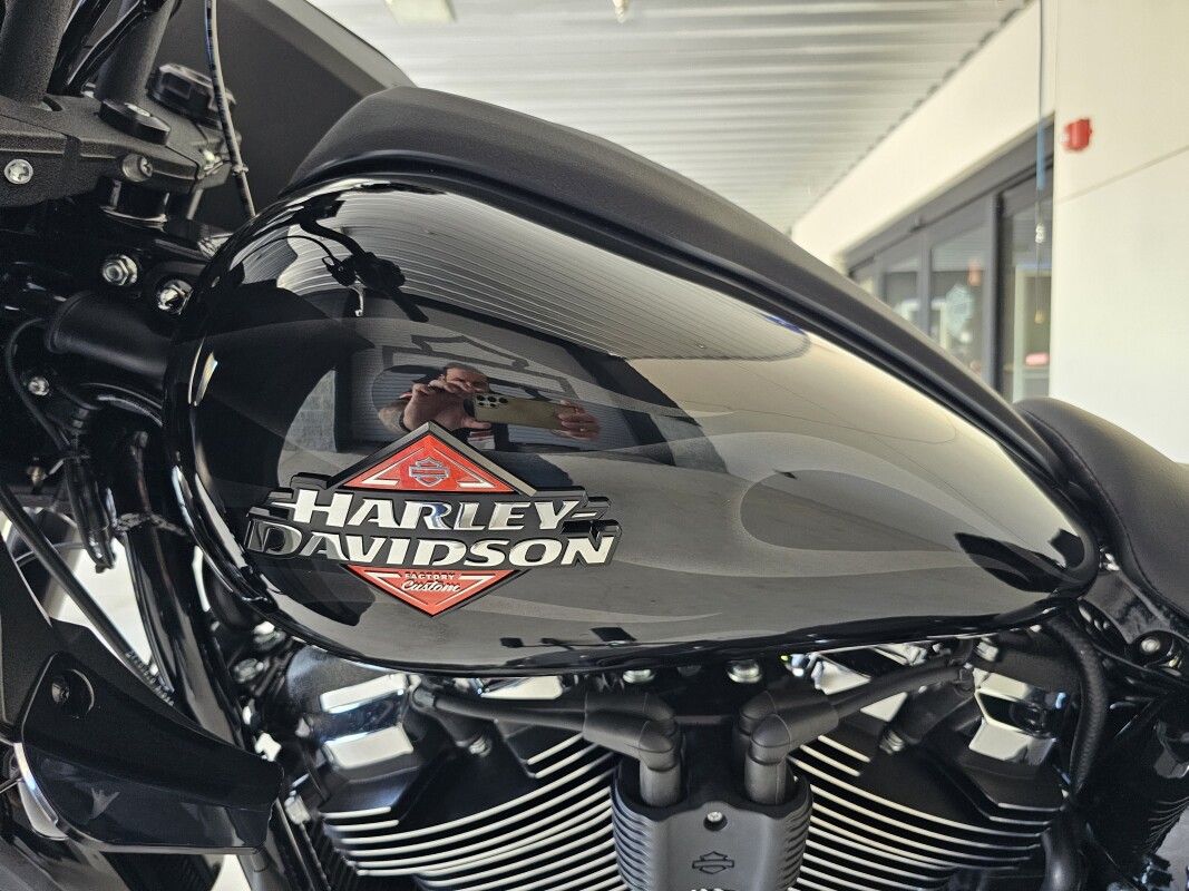 2025 Harley-Davidson Low Rider S - Photo 9