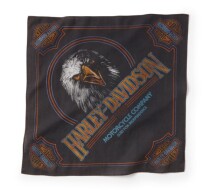 Soaring Ride Graphic Bandana