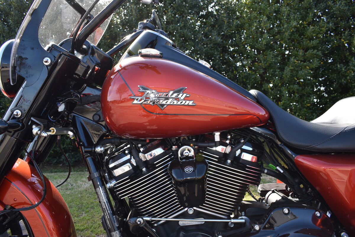 2025 Harley-Davidson Freewheeler - Photo 6