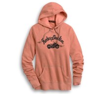 Embroidered Script Pullover Hoodie