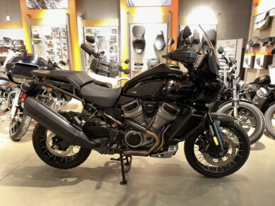 2022 Harley-Davidson<sup>®</sup> Pan America™ 1250 Special Black