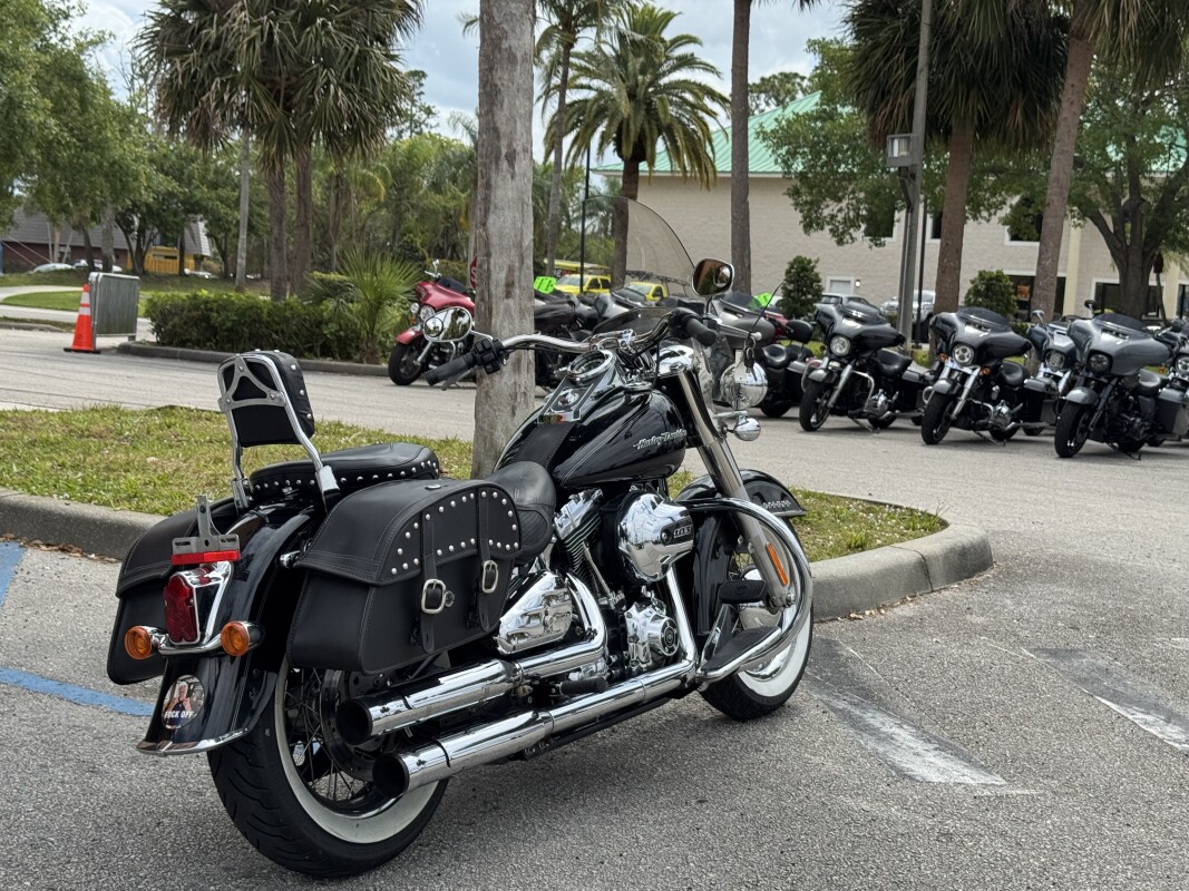 Softail Deluxe - Photo 4