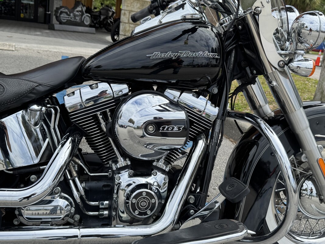 Softail Deluxe - Photo 6