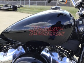 2024 FXST Softail Standard thumb 3