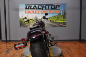 2022 Harley-Davidson<sup>®</sup> Fat Boy<sup>®</sup> 114 thumb 0