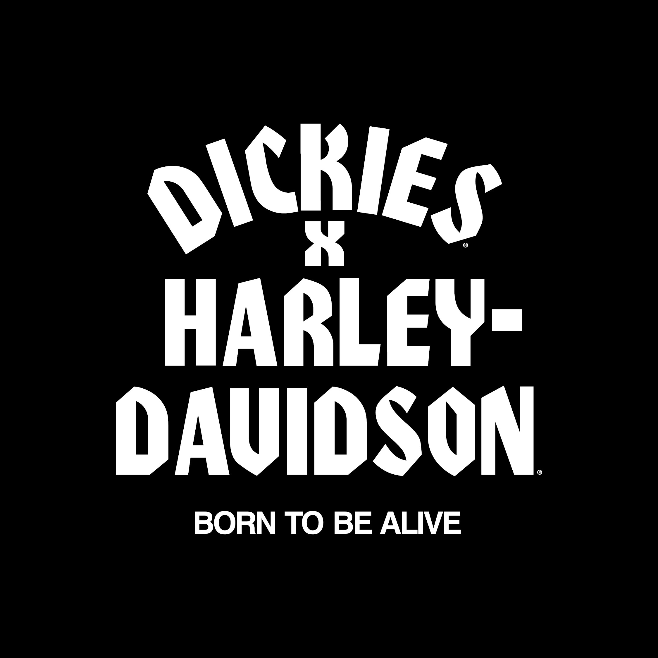 Dickies®× Harley-Davidson®コラボレーション ! | Harley-Davidson® 茨城南