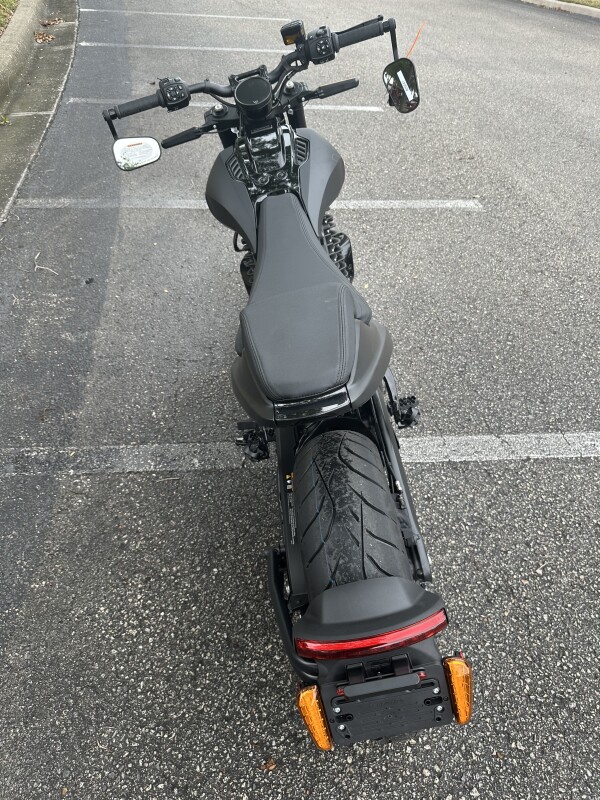2025 LiveWire Alpinista - Photo 9