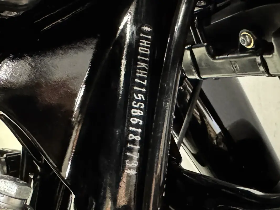 FLTRX 2025 Road Glide - Photo 10