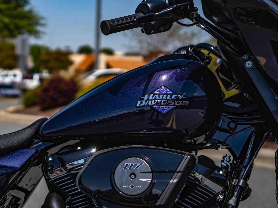 FLHX 2025 Street Glide - Photo 10