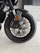 2025 Harley-Davidson<sup>®</sup> Pan America® 1250 ST thumb 1