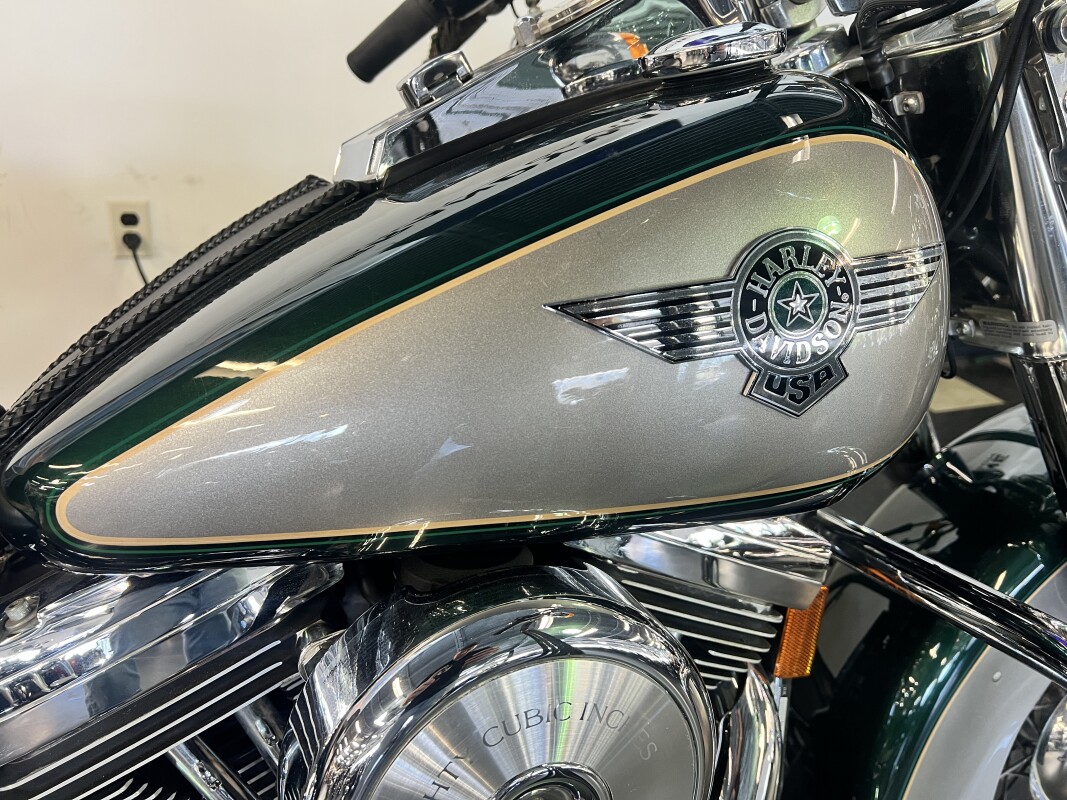 1996 MYSTIQUE GREEN / PLATINUM FLSTN - Photo 2