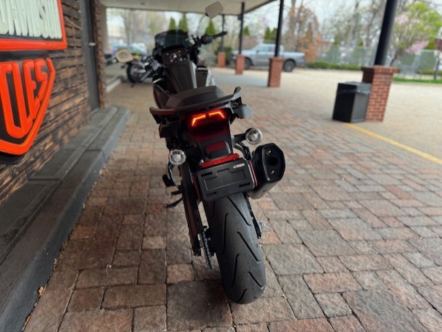 2025 Harley Davidson Pan America ST RA1250ST - Photo 7