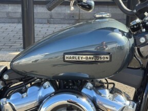 Street Bob 117 with laced wheels and Iron Horse Metallic colour option thumb 0