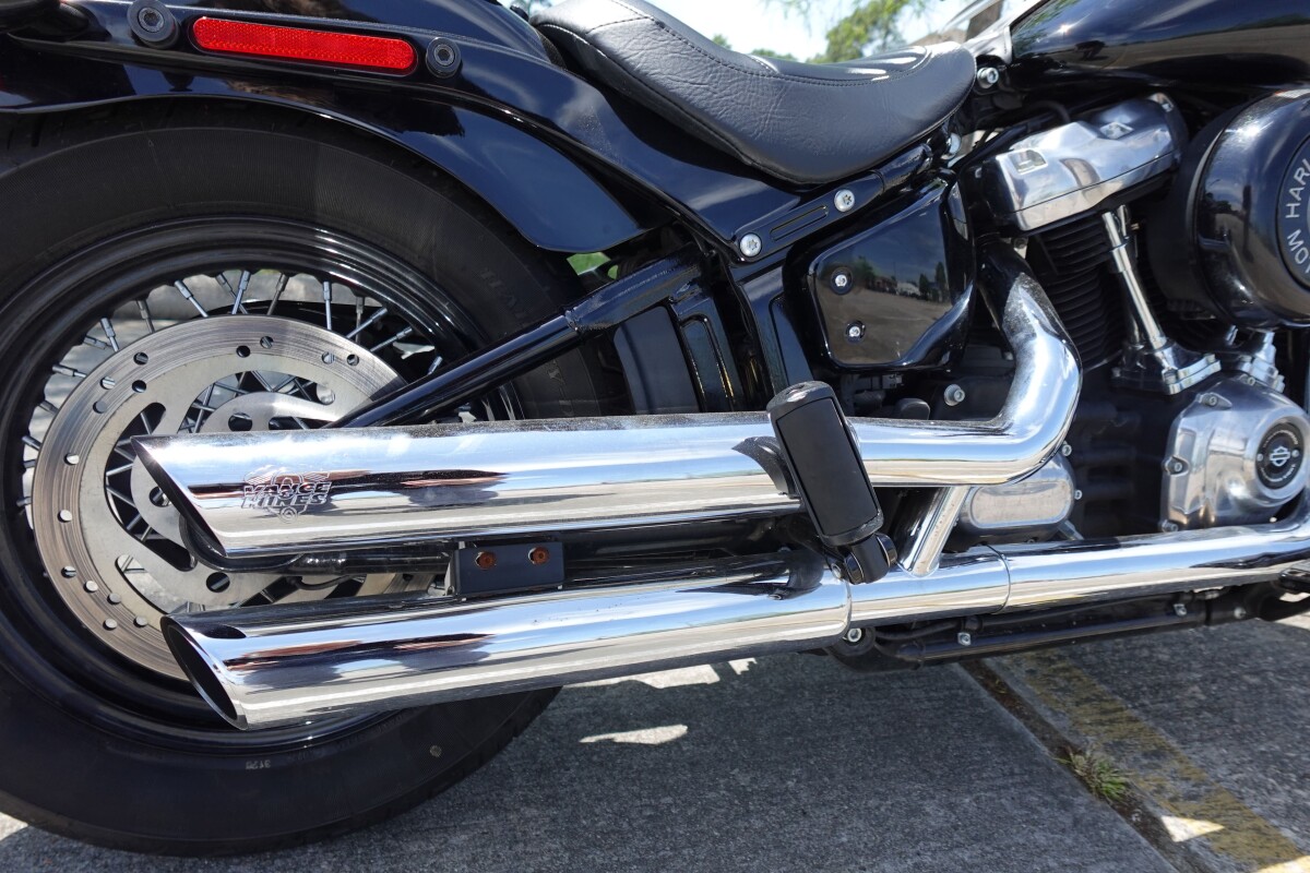 2019 Harley-Davidson Softail Slim FLSL - Photo 10