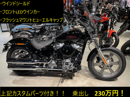 【カスタムパーツ付き！】新車ソフテイルスタンダード！