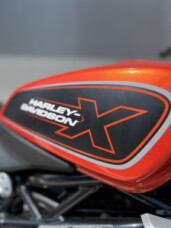 ハーレーダビッドソン　ライダース　限定モデル MOTOR NEW VINTAGE | . ITALIAN HORSE FRONT DOUBLE SPORTS