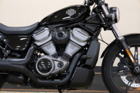 RH975 2024 Nightster™ thumb 3
