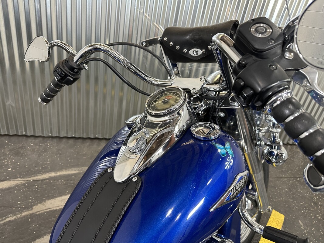 2009 Harley-Davidson Heritage Softail Classic - Photo 9