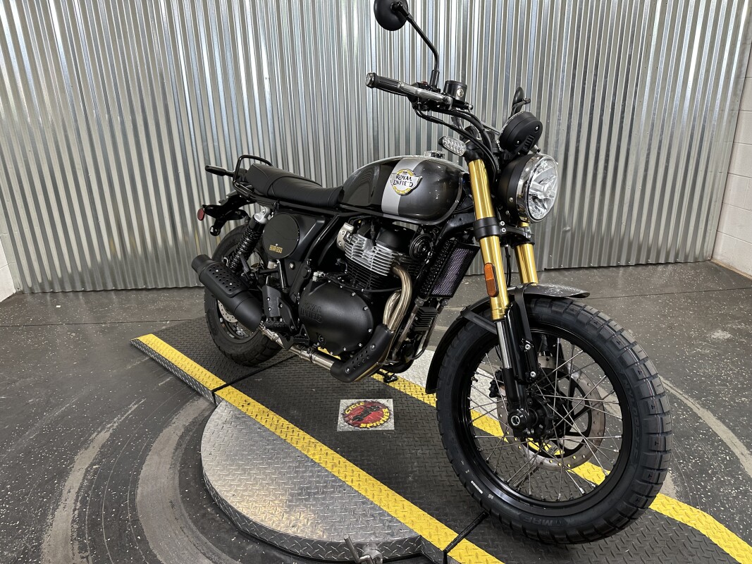 2025 Royal Enfield Bear 650 Golden Shadow - Photo 2