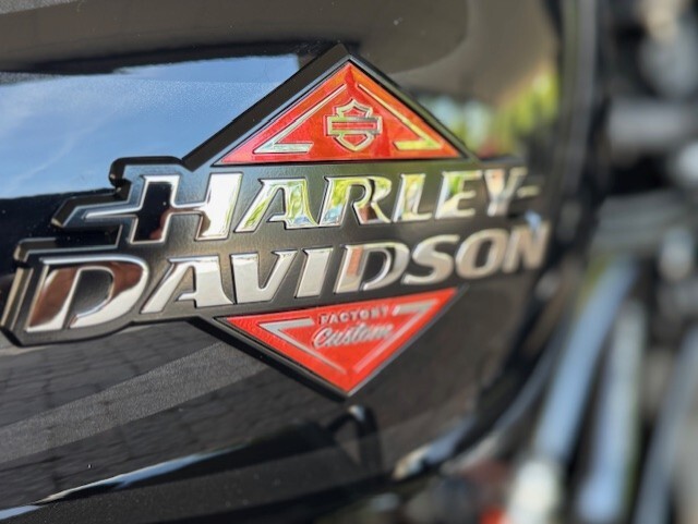 2025 Harley Davidson Street Glide FLHX - Photo 4
