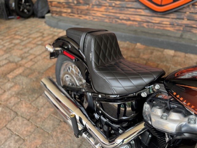 2021 Harley Davidson Softail Standard FXST - Photo 8