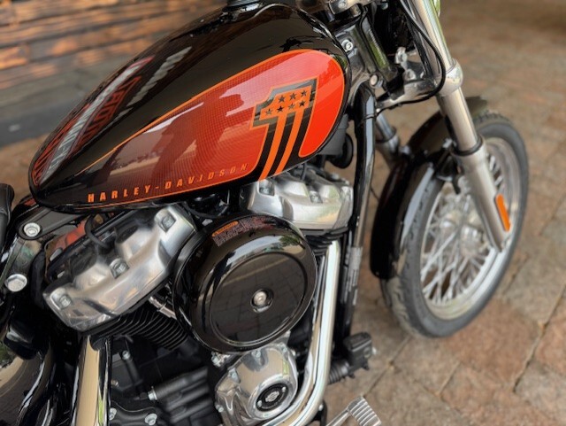 2021 Harley Davidson Softail Standard FXST - Photo 3