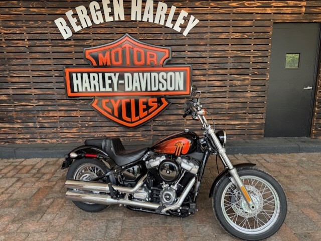 2021 Harley Davidson Softail Standard FXST
