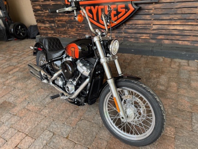 2021 Harley Davidson Softail Standard FXST - Photo 5