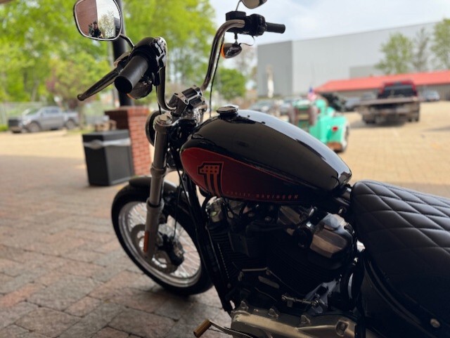 2021 Harley Davidson Softail Standard FXST - Photo 7