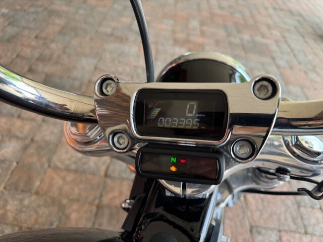 2021 Harley Davidson Softail Standard FXST - Photo 4