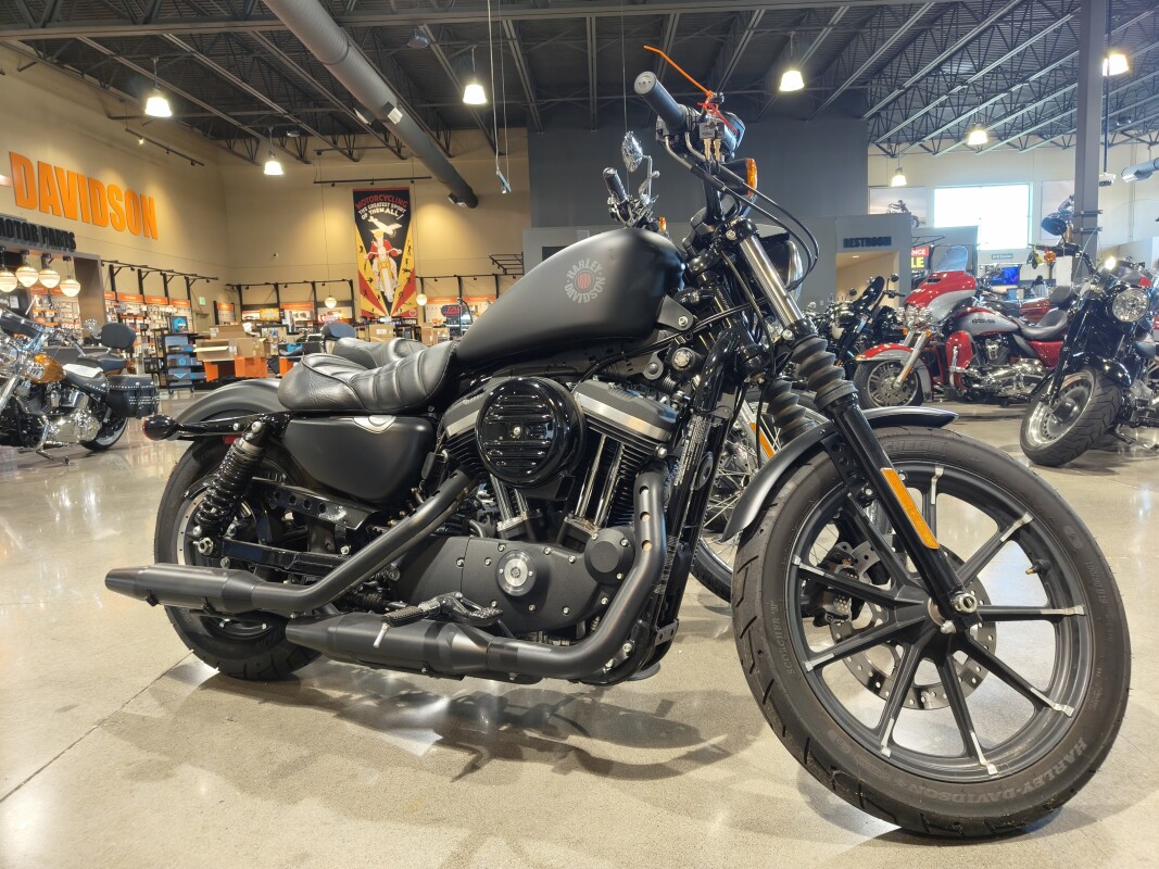 2021 Harley-Davidson Iron 883 Black Denim