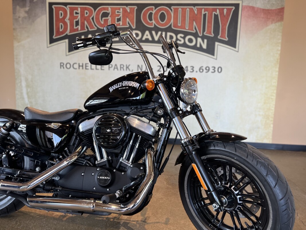 2016 Harley Davidson Forty-Eight XL1200X - Photo 5